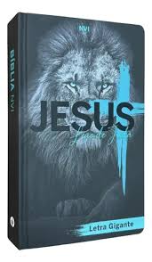 Biblia Masculina Letra Grande Nva Com Indice Capa Dura