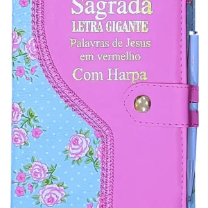 D Nq Np 2X 600884 Mlb74860010466 032024 F Biblia Com Letra Grande Com Harpa E Corinhos Feminina