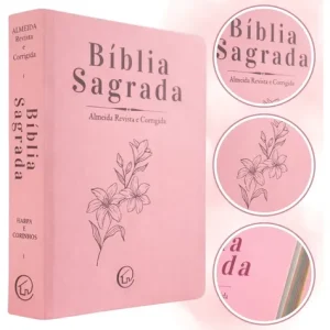 D Nq Np 617518 Mlb108797286945 032026 O Biblia Sagrada Evangelica Masculina Feminina Evangelismo Promocao