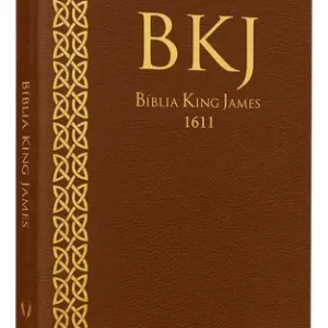 D Nq Np 621016 Mlb92318736333 092025 O Biblia King James Ultra Fina Capa Marrom Slim Luxo Bkj