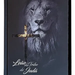 D Nq Np 629973 Mlb109503422152 042026 O Biblia Capa De Leao Edicao Para Jovens Capa Dura Nvi