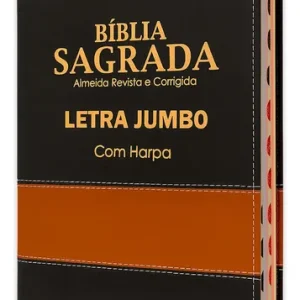 D Nq Np 655373 Mlb114378333962 082026 O Biblia Sagrada Letra Jumbo Luxo Preta
