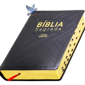 D Nq Np 679800 Mlb82294970361 022025 O Biblia Sagrada Letra Gigante Naa Nova Almeida Atualizada Com Indice Lateral Preta