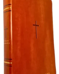 D Nq Np 688962 Mlb100274740412 122025 O Biblia Sagrada Nvt Letra Gigante C Mapas Mentais Luxo Marrom