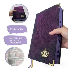 D Nq Np 705159 Mlb77972900674 082024 O Biblia Sagrada Roxa Que Muda De Cor Glitter Feminina Letras Medias E Folha Ecologica Com Harpa E Indice