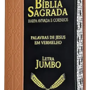 D Nq Np 713824 Mlb80646788725 112024 O Biblia Sagrada Evangelica Letra Extragigante Com Indice Capa Preta