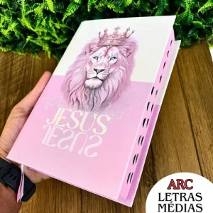 D Nq Np 756542 Mlb93460395665 092025 O Biblia Sagrada Feminina Rei Dos Reis Rosa Capa Dura Letras Medias Com Harpa E Indice Palavras De Jesus Destacadas Em Vermelho