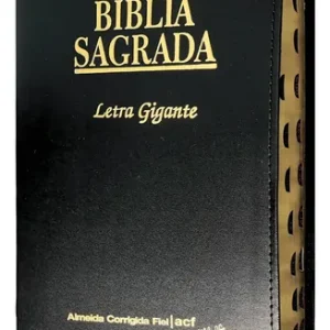 D Nq Np 839434 Mla113961637727 062026 O