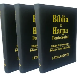 D Nq Np 856464 Mlb76450532752 052024 O Pack 3 Unidades Biblia Harpa Letra Gigante Preta Com Ziper E Indice