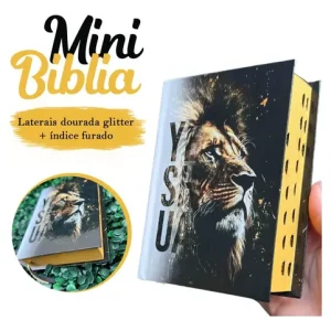 D Nq Np 862878 Mlb77901115837 072024 O Mini Biblia Infantil De Bolsa Com Indice Letra Pequena Arc Yeshua Jesus Jovem Fe