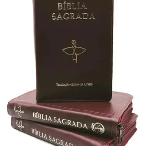 D Nq Np 863493 Mlb51559004399 092022 O Biblia Sagrada Catolica Cnbb Media Ziper Vinho Lancamento