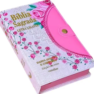 D Nq Np 879228 Mlb79296986248 092024 O Biblia Sagrada Com Harpa Letra Gigante Com Harpa Feminina