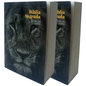 D Nq Np 904957 Mlb76402925408 052024 O Kit 2 Unidades Biblia Sagrada De Bolso Brochura Edicao De Promessas