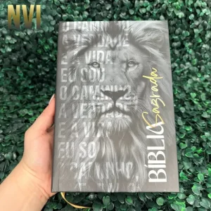 D Nq Np 912558 Mlb96777326922 112025 O Biblia Sagrada Nvi Masculina Evangelica Leao Com Indice Hdc