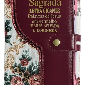 D Nq Np 919617 Mlb78134629523 082024 O Biblia Sagrada Letra Gigante Com Harpa Feminina Indice