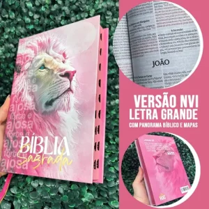 D Nq Np 924066 Mlb97233739981 112025 O Biblia Sagrada Nvi Leao Feminina Letra Grande Capa Dura Hdc