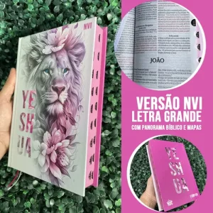 D Nq Np 945833 Mlb91099838636 092025 O Biblia Sagrada Feminina Yeshua Versao Nvi Letras Grandes