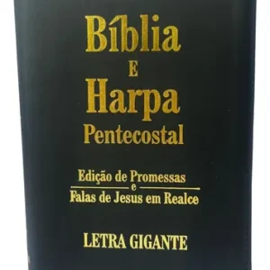 D Nq Np 965729 Mlb108722871088 032026 O Biblia Sagrada Letra Gigante Ziper Preta Falas De Jesus