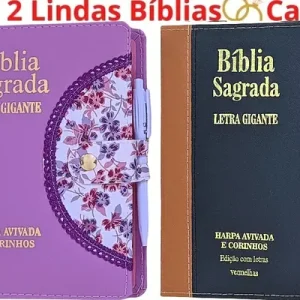 D Nq Np 968187 Mlb79704292292 102024 O Kit 2 Biblias Sagrada Para Casal Com Harpa E Corinhos Arc