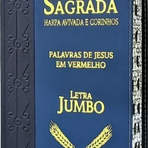 D Nq Np 990319 Mlb87853517370 072025 O Biblia Sagrada Letra Extra Gigante Jumbo C Harpa Luxo Couro