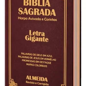 D Nq Np 993920 Mlb112695330811 062026 O Biblia Sagrada Letra Gigante Luxo Popular Vinho Com Harpa